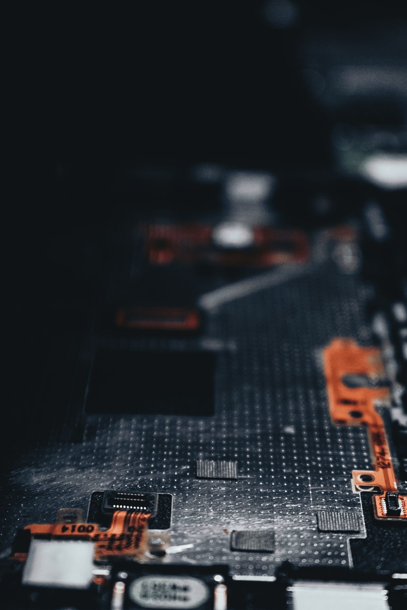 Embedded article image